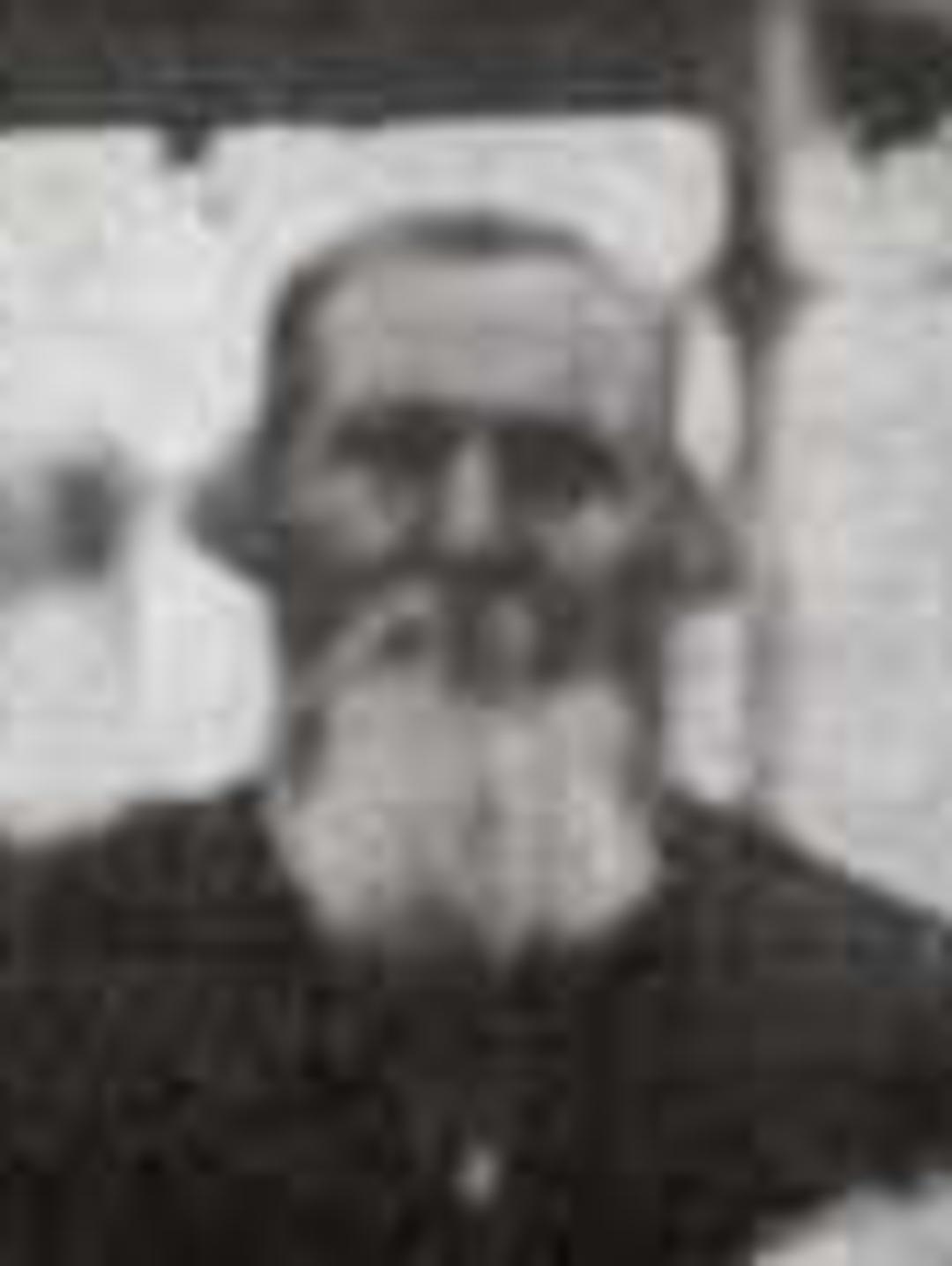 John Lynn Mathews (1833 - 1916) Profile